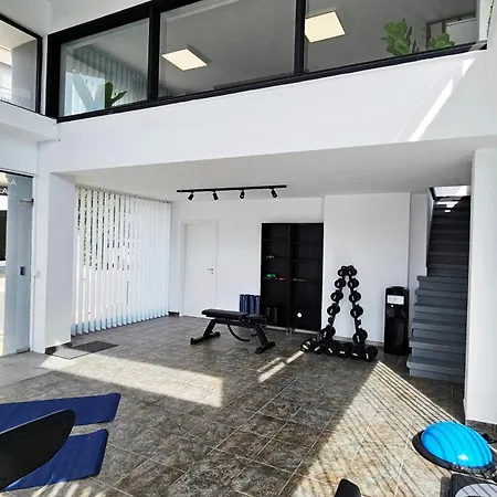 Phaedrus Living Mini Art House Rivera *